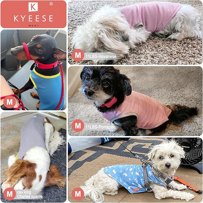 KYEESE 2Pack Dog Cooling Shirt, Breathable Dog Shirt for Small Dogs, Sun Protection Dogs Cooling Vest Tank Top, Lightweight Soft Sleeveless Summer Pet Clothes, Polar Bear+Ice, M