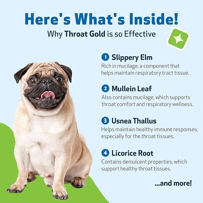 Pet Wellbeing Throat Gold for Dogs - Supports Collapsed Trachea & Throat Discomfort with Mullein & Slippery Elm for Kennel Cough - NASC Certified & Vet-Formulated 4 oz Liquid Formula
