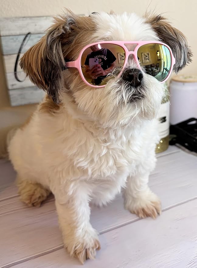 G048 Dog Pet Cat Costume Retro Aviator Sunglasses Adjustable for Small-Medium Dogs Approximately 12-30 lbs Party Prop Cosplay Photoshoot (Aviator Pink-Pink Mirror)