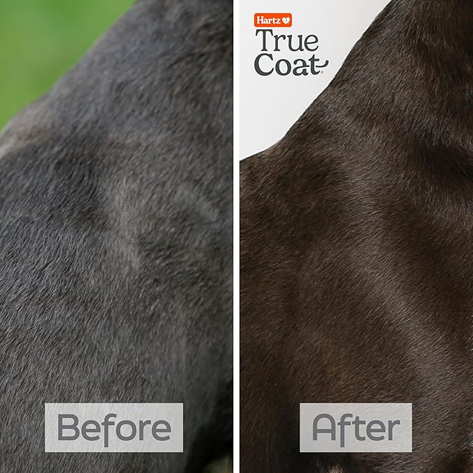 Hartz True Coat Short & Smooth Coat Specific Dog Shampoo, Soothes & Shines with Oat Milk, Coconut Oil & Vitamin E
