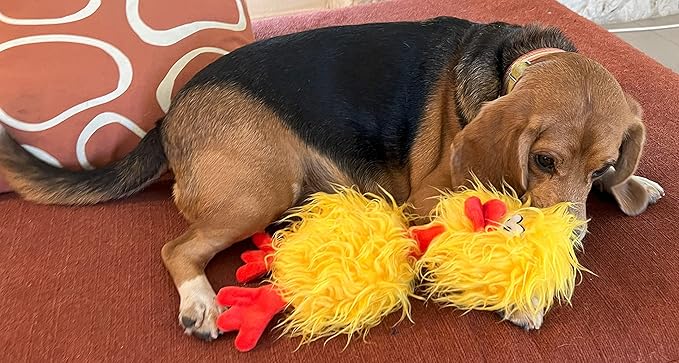 Glory To Dog Phoebe The Big Crazy Chicken Plush and Squeak Medium and Large Breed Dog Toy