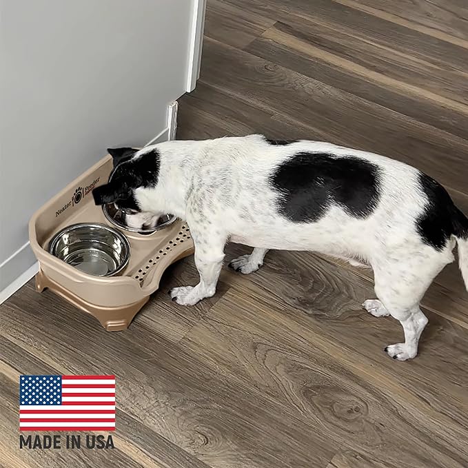Neater Feeder Express Mess Proof Dog Bowls Elevated for Small Breeds under 15 Lb, Made in USA, No Spill Raised Dog Food Bowl Stand, Stainless Steel Food and Water Bowl Set, Feeding Station, Cappuccino