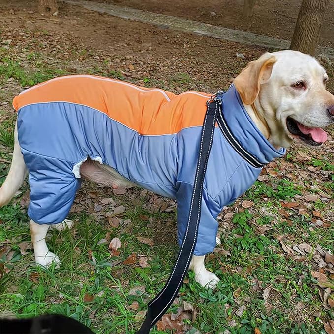 Toasty Warm Fullbody Coat for Dogs, Outdoor Reflective Windproof Dog Snow Jackets, Dog Zip Up Thick Lined Snowsuit with Leash Ring, HazeBlue,16