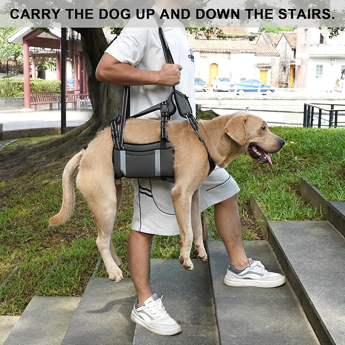 COODEO Mobility Dog Lift Harness, Emergency Carry Sling, Pet Rear Leg Support Rehabilitation Lifts Vest, Dog Carrier for Senior Dogs Joint Injuries, Arthritis (Military Green, L)