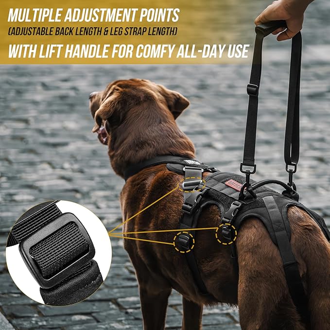 OneTigris Dog Support Harness for Back Legs, Dog Lift Sling for Large Dogs Hind Legs, Canine Dogs Hip Support Brace Ideal for Elderly Injured Arthritic Provides (Black, M)