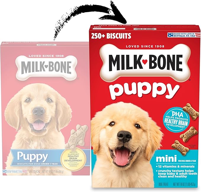 Milk-Bone Original Dog Treats for Puppies, 16 Ounce (Pack of 6), DHA Helps Support Healthy Brain Development