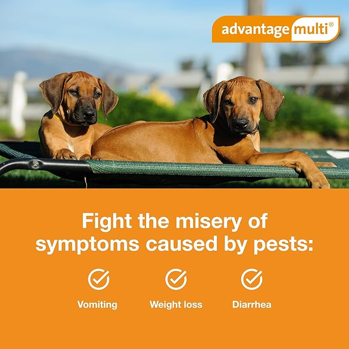 Advantage Multi Topical Solution for Dogs 6 Doses, 9.1-20 lbs (Teal)