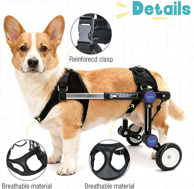 Adjustable Dog Wheelchair for Back Legs Mobility Support Lightweight Pet Wheelchair for Disabled Hind Legs Walking Stable Dog Cart for Pets, Pink (Small)