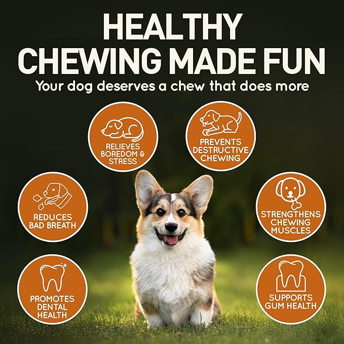 Wildfang® Olive Wood Chewing Sticks for Dogs, Medium - Tough Chew Toys for Aggressive Chewers, Puppy Chew Toys for Teething, Training for Chewing Muscles, Olive Wood Stick for Dog (33-55lbs), 3pack