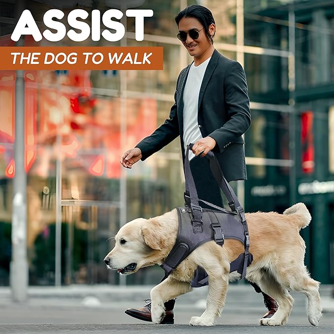 Doggie Stylz Dog Lift Harness for Large Dogs Full Body Support Sling Dog Carrier has Adjustable Handles Recovery Vest for Senior Dogs, Arthritis Joint Injuries, Mobility Aid Back Leg Support (Large)