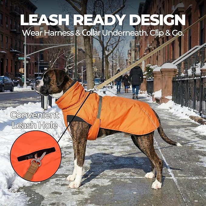 Dog Winter Coat, Warm Puffer Jacket with Fur-Safe Buckle & Leash Hole for Cold Weather, Water-Repellent Snow Vest, Breathable Thermal Apparel for Hiking & Active Dogs (Aurantium, Large)