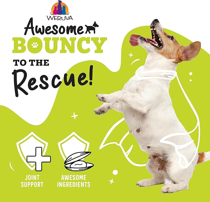 Weruva Awesome Bouncy Wet Dog Food, Magnificent Mobility Variety Pack, 14oz Can (Pack of 9)