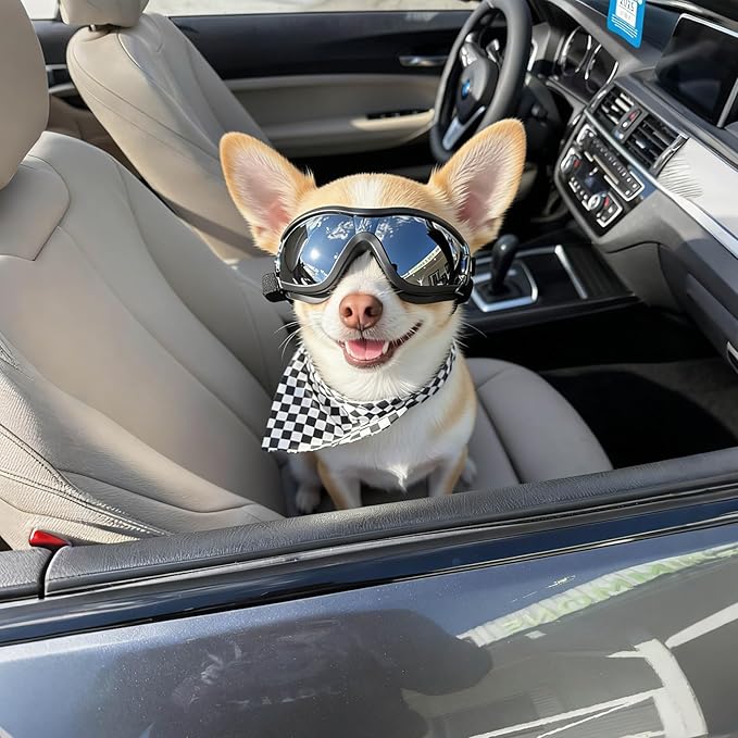 NAMSAN Dog Goggles Small Breed, Anti-UV Sunglasses for Dogs Small Breeds, Windproof Driving Dog Eye Protection, Puppy Glasses with Elastic Straps, Adjustable, Black