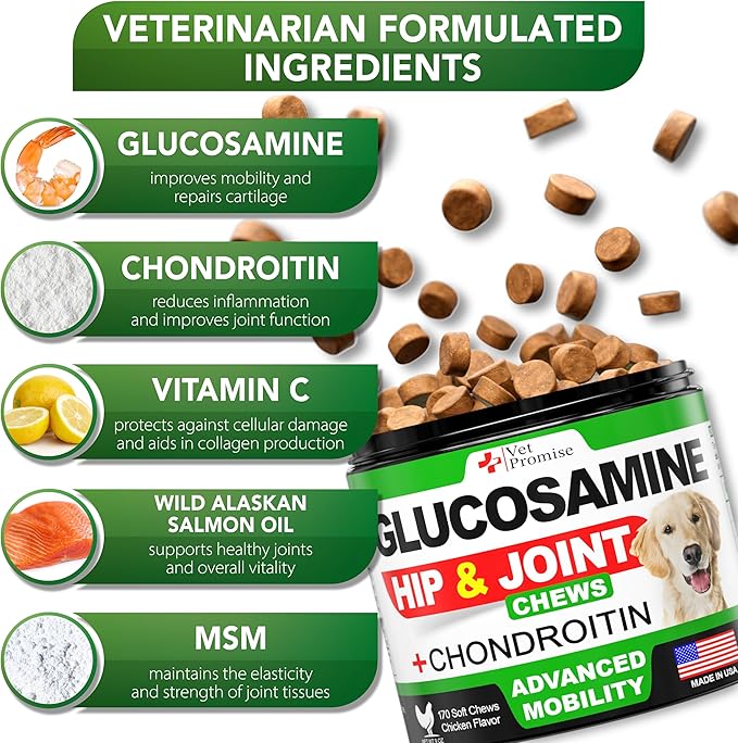 Vet Promise Glucosamine for Dogs - Hip and Joint Supplement for Dogs - Glucosamine Chondroitin - Joint Pain Relief Pills - MSM - Advanced Health Support Supplement - 170 Mobility Chews - Made in USA