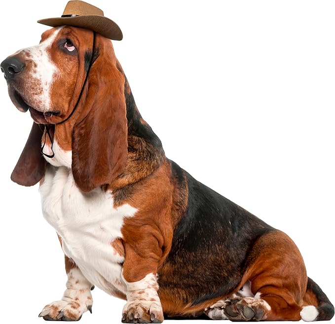 Rubies Cowboy Pet Hat for Dogs or Cats, S/M