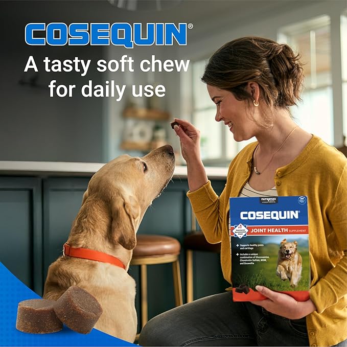 Nutramax Laboratories Cosequin DS Plus MSM Professional Line for Dogs,60 Soft Chews,(Pack of 2)