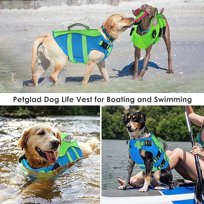 Dog Life Jacket, High Buoyancy Dog Life Vest with Handle for Swimming Boating, Adjustable Swimming Vest with Reflective Trim for Small Medium Large Dogs - Blue & Green, XS