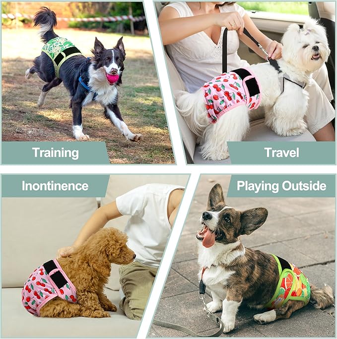 Female Dog Diapers - Premium Reusable Diapers for Dogs in Heat - Highly Absorbent, Leak-free, Adjustable Snaps, Fruits, XL