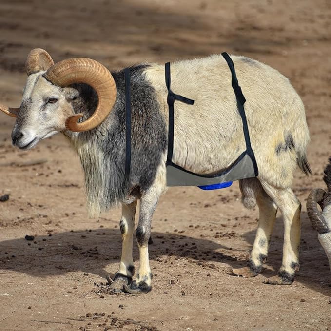 Goat Anti Breeding Apron, Anti Mating Skirt Goat Apron, Anti-mating Sheep Bellyband, Animal Supplies, Livestock Clothing with Adjustable Strap, Anti Breeding Sheep Animal Skirt for Goats Sheep (Blue)