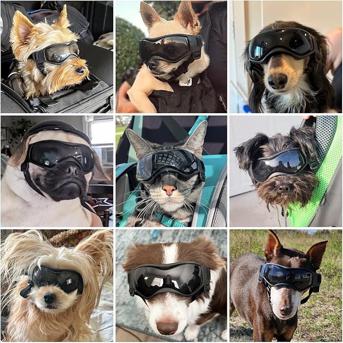 NAMSAN Dog Goggles Small Breeds, UV Protection Dog Glasses for Small Dogs, Puppy Sunglases Windproof Dustproof Driving Eye Protection, Adjustable, Classic Black