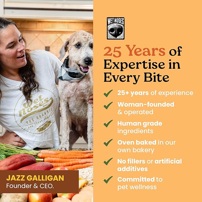 Wet Noses Organic Crunchy Dog Treats Grain Free – All-Natural, Human-Grade, Non-GMO, Healthy Training & Delicious Snacks for Dogs, for All Dog Sizes & Breeds – Pumpkin & Quinoa, 14oz (2 Pack)