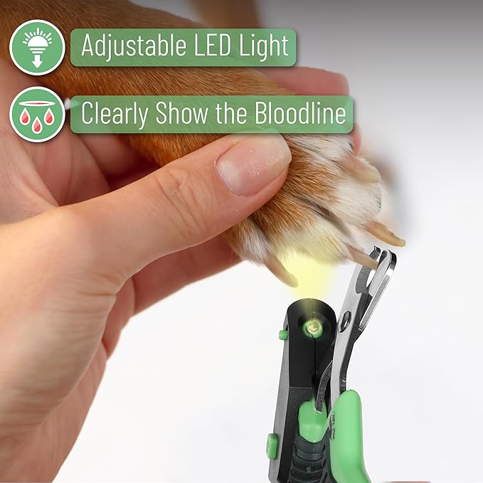 Mr. Pen- Cat Nail Clipper with Adjustable LED Light, Green Cat Nail Trimmer, Cat Claw Clippers, Cat Clippers for Nails, Pet Nail Clippers, Kitten Nail Clipper, Small Dog Nail Clipper Cat Claw Trimmer