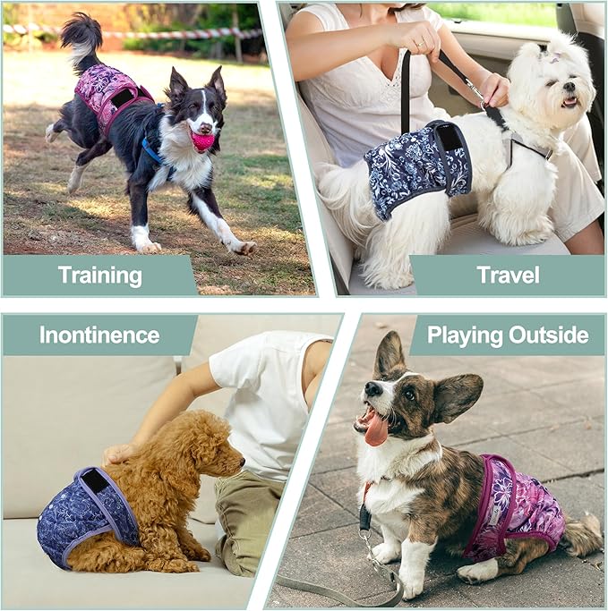 Female Dog Diapers - Premium Reusable Diapers for Doggie in Heat - for Pet Incontinence with Adjustable Snaps Butterfly, XXL