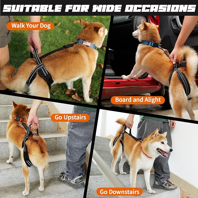 ROZKITCH Pet Dog Support Harness Rear Lifting Harness for Back Legs Reflective Dog Sling Vet Approved for Old Helps with Poor Stability Hind Legs, Joint Injuries Elderly Arthritis ACL Rehab Black S