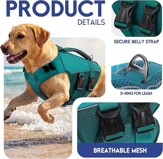 ASENKU Dog Life Jacket, High Floatation Dog Swimming Vest with Rescue Handles for Small Medium Large Dogs, Pet Safety Swimsuit Preserver for Pool Beach Boating (LakeGreen, L)