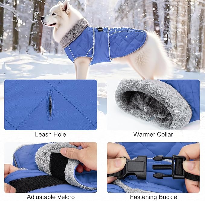 Dog Coat, Warm Dog Winter Coat for Medium Dogs, Waterproof Jacket with Adjustable Buckle & Velcro, Reflective Turtleneck Cold Weather Coats, Pet Fleece Vest Snow Jacket (Blue, XS)