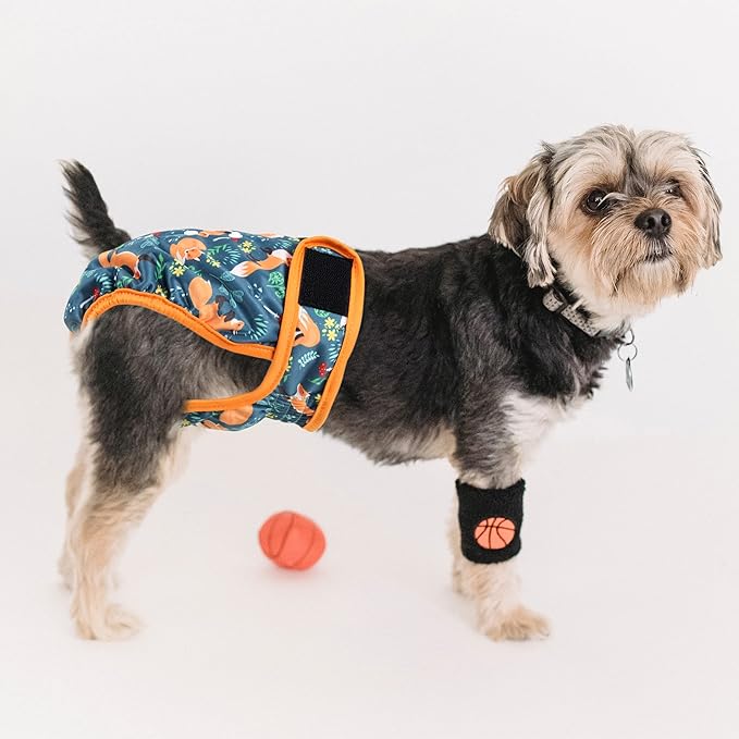 Washable Dog Diapers (3 Pack), Reusable Dog Diapers for Doggie Heat Period, Reusable Doggie Diaper for Female Dogs (Giraffe, Tucan, Fox, X-Large)