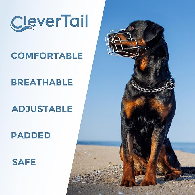 Dog Metal Muzzle for Large Sized Dogs – Heavy Duty Rottweiler Muzzle – Large Basket Dog Muzzle for Barking and Biting Cane Corso, Mastiff, Labrador, Bulldog, Alabai and Other Big Breeds