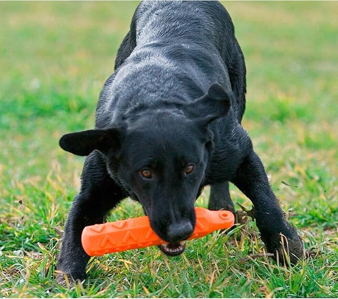 Avery ASD 2" HexaBumper Hunting Sporting Gun Dog Game Retriever Dummy | Water & Upland Mark Training Retrieval Tool | Hexagonal, Floating Design, Easy-Grip Texture, Throw Rope, Orange (02703)