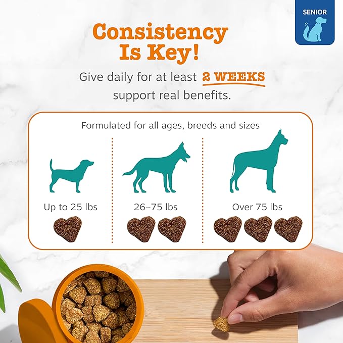 Zesty Paws Advanced Cognition Soft Chews for Dogs - with Omega 3 DHA, Ashwagandha & Alpha GPC - for Senior Dog Brain Health & Nervous System Support - Supplement for Calming & Relaxation - 90 Count