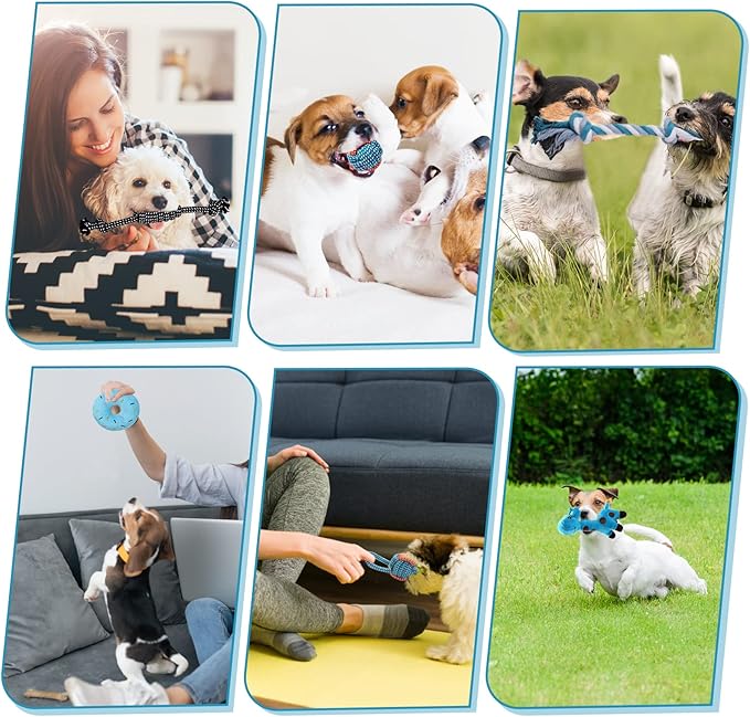 Dog Toys Small Dog Chew Toys Dog Teething Toys Squeaky Toys Chihuahua Pomeranian Corgi and PoodlesToys 6 PCS