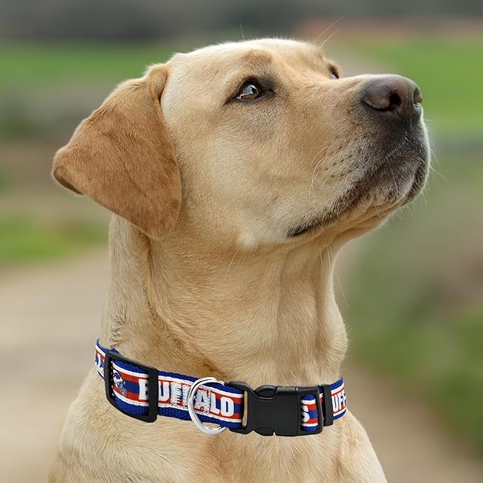 Pets First NFL Buffalo Bills Licensed PET COLLAR, Large - Heavy-Duty, Strong, and Durable Dog Collar. Available in 31 Football Teams and 4 Sizes