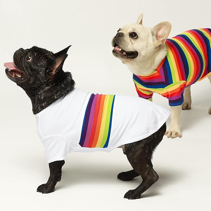 Fitwarm 3 Pack Rainbow Striped Dog Shirt, Dog Summer Clothes for Small Dogs Boy Girl, Breathable Lightweight Pet Tshirt with Sleeves, Cat Outfit, White, Black, Multicolored, XXL