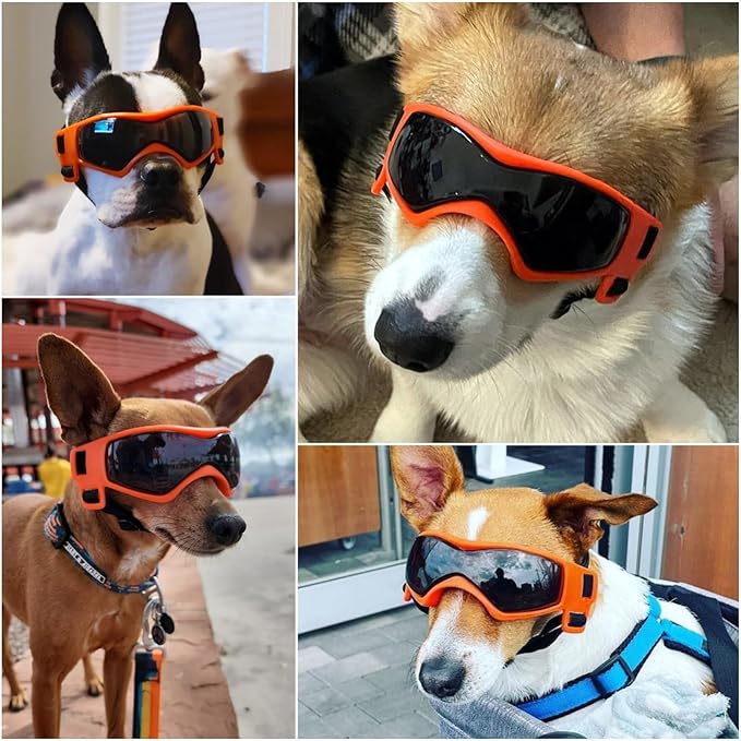 NAMSAN Dog Sunglasses Medium Breed, UV Protection Goggles for Small to Medium Dogs, Windproof Anti-Fog Snowproof Puppy Glasses, Easy Wear/Adjustable, Cool Orange