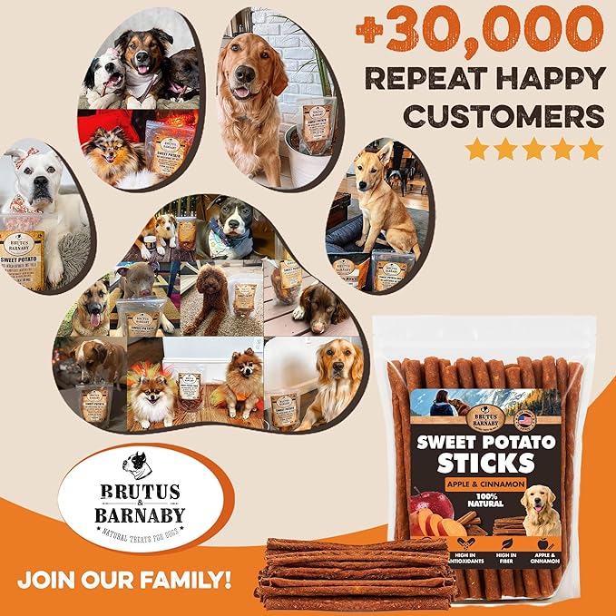 BRUTUS & BARNABY USA Sweet Potato Dog Treats - Crunchy Grain Free Cinnamon Apple Sticks, Promotes Positive Gut Health with Natural Anti-Diarrhea Properties (Cinnamon & Apple, 2 lb)