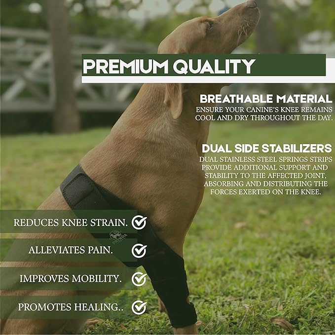 Adjustable Dog Knee Brace for Torn ACL and Luxating Patella - Support for Back Leg, Hip Dysplasia, and Post-Surgery Recovery. Optimal Comfort and Stability for Your Beloved Pet