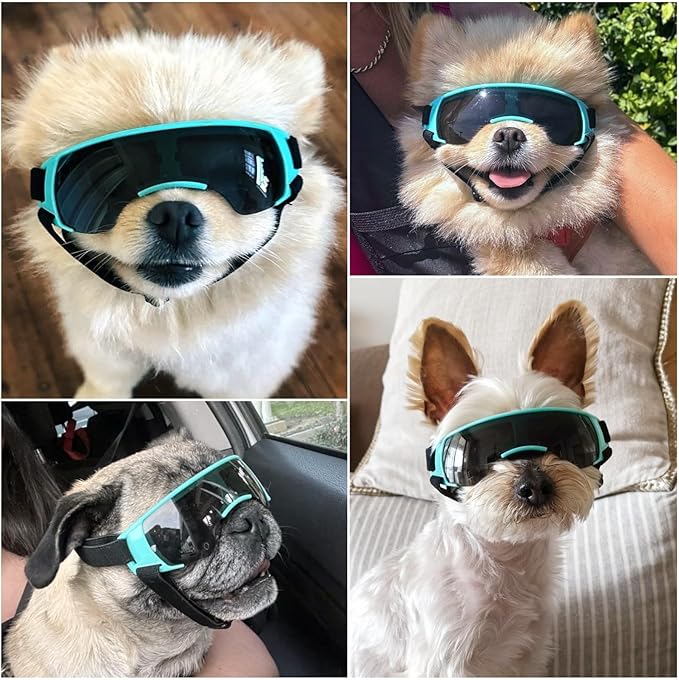 NAMSAN Dog Goggles Small Breeds, UV Protection Dog Glasses for Small Dogs, Puppy Sunglases Windproof Dustproof Driving Eye Protection, Adjustable, Cute Blue