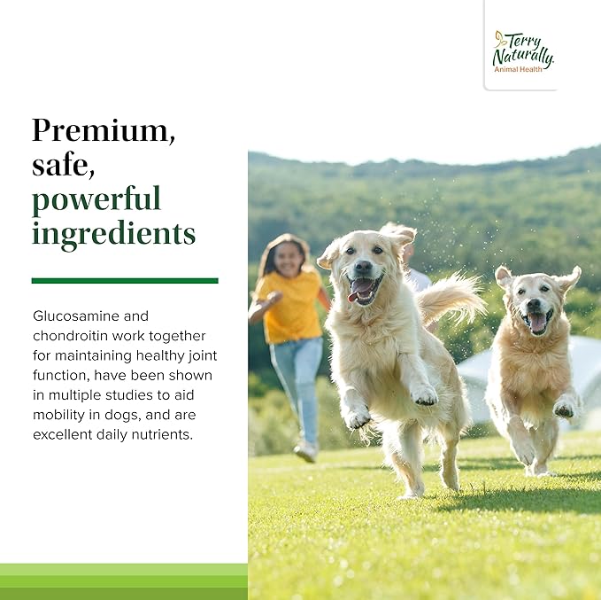 Terry Naturally Active Mobility - Joint Health Support for Pets - Supplement for Animal Health - Hip and Knee Aid for Dogs - Includes Glucosamine, Chondroitin & Collagen - 60 Chewable Tablets