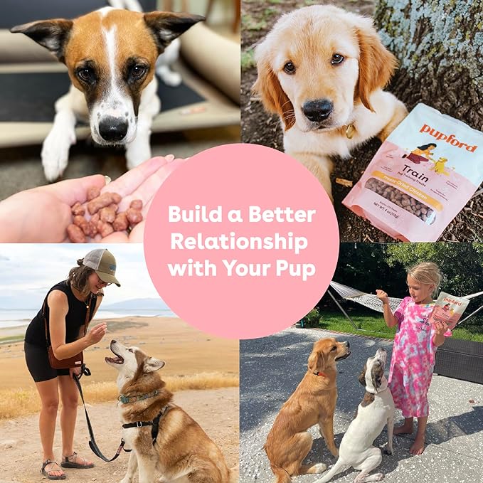 Pupford Freeze Dried Training Treats for Dogs & Puppies, 950+ Two Ingredient Bites (Chicken, 8 oz)
