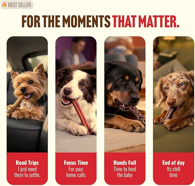 Natural Farm Odor Free Braided Collagen Chews for Dogs (12 Inch, 12 Pack), Collagen Sticks, Natural Dog Chews, Long Lasting, for Small, Medium and Large Dogs, Odor-Free, Rawhide Alternative