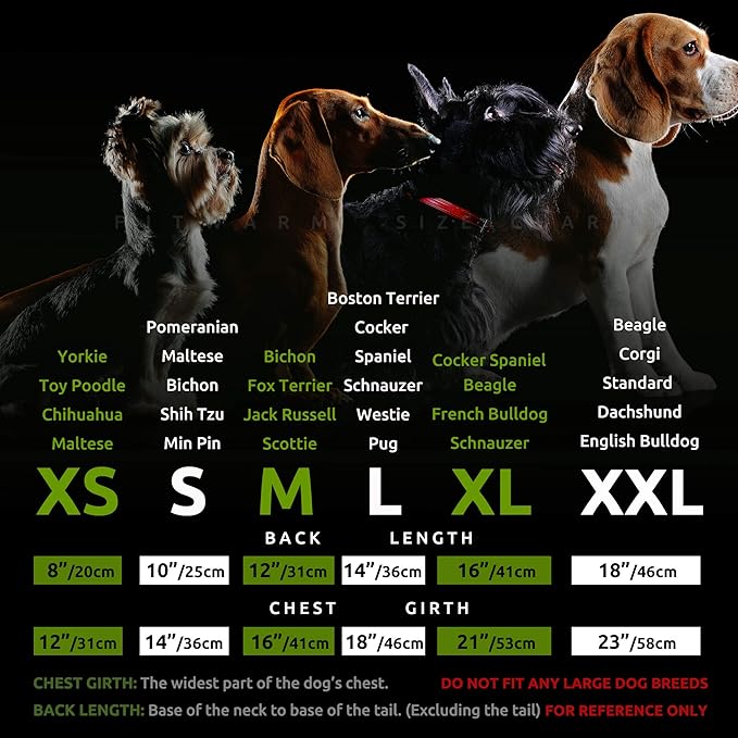 Fitwarm 2 Pack Ice Lemon UPF 50+ UV Sun Protection Dog Shirt, Lightweight Dog Cooling Vest, Quick Dry Summer Clothes for Small Dogs Boy Girl, Pet Outfit, Blue, Yellow, White, Large