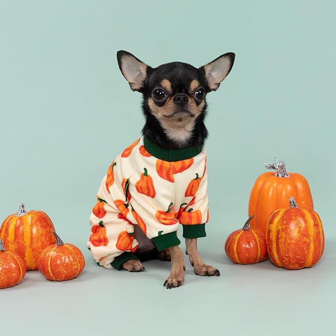 Fitwarm Pumpkin Dog Pajamas, Thanksgiving Outfit for Small Dogs Boy Girl, Fall Pet Clothes, Beige, Orange, Green, Large