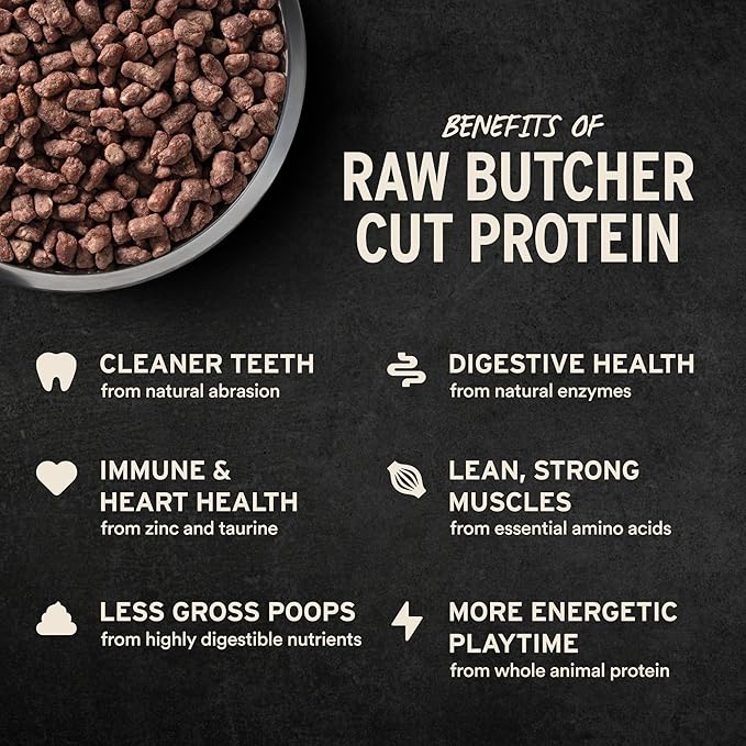Vital Essentials Freeze Dried Dog Food, Raw Duck Crunchy Mini Nibs | Complete Meal or Topper | 96% Duck, Organs & Bone | Limited Ingredient, High Protein, Grain Free Dry Dog Food | 14 oz Bag