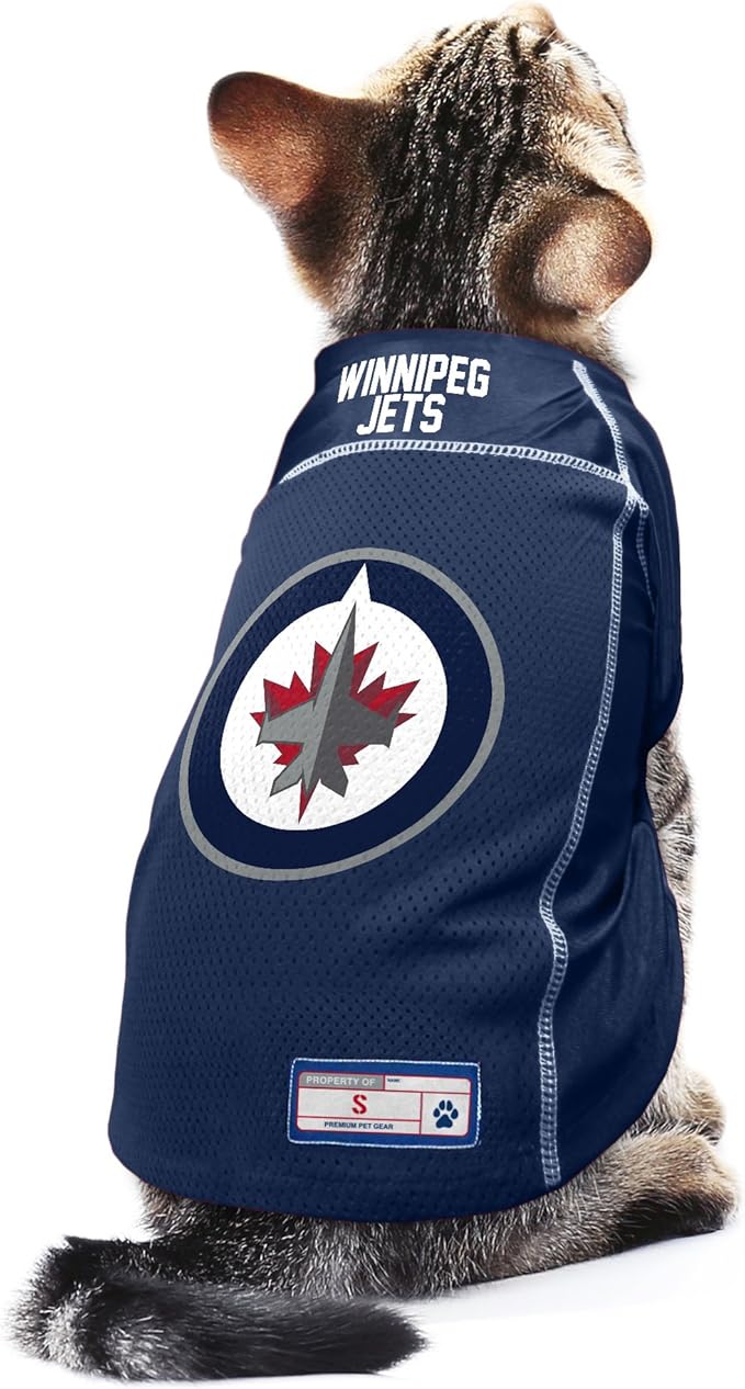 Littlearth NHL Detroit Red Wings Basic Pet Jersey, Team Color