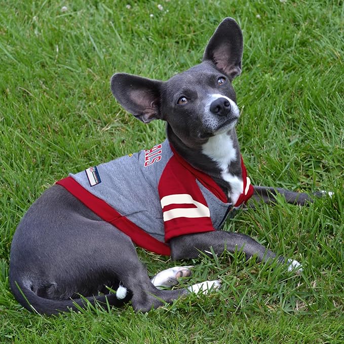 Pets First NFL Arizona Cardinals Hoodie for Cats, Medium, Official Licenced Sporty Pet Shirt