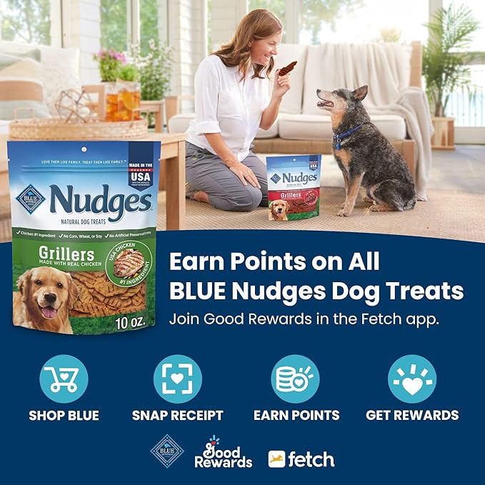 Blue Buffalo Nudges Jerky Cuts Dog Treats, Made in the USA with Natural Ingredients, Chicken & Duck, 16-oz Bag (Pack of 4)